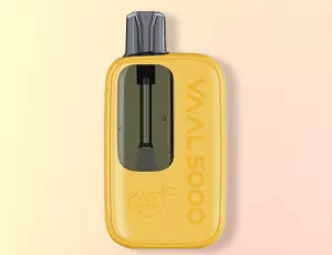 Review of Joyetech Vaal 5000 POD system kit