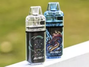 Review of Rincoe Jellybox F Pod Kit