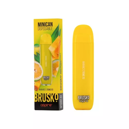 Review of DISPOSABLE BRUSKO MINICAN. First look