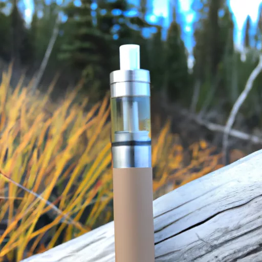 Disposable Vape in Canada